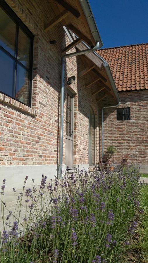 Muntershof Villa Velzeke-Ruddershove Ngoại thất bức ảnh
